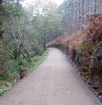 RUTA A RAZO POLA SENDA PEONÍL